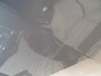 Fiat tipo 2 2 15-23 капот крышка двигателя перед передняя kol 722 c409 Доставка, фото thumb