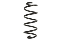 фото thumb №1, Ra5007 spręż. zaw./tył/ dacia duster 10- kyb