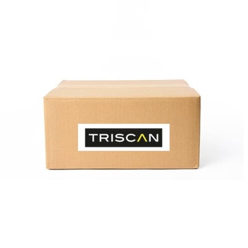 РЕСОРНА ЗАДНЯЯ 4-ЛИСТОВАЯ 8765 80006 TRISCAN