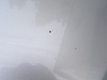 фото thumb №7, Капот кришка двигуна skoda fabia ii 2 roomster 5j0 06-10 9202