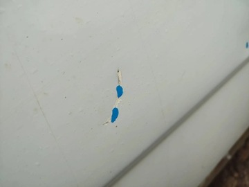 фото thumb №10, Renault trafic ii перед левый дверь 02-14 opel vivaro a primastar