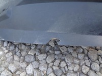 Подкрылок левый перед передние boxer fiat ducato iii 3 jumper 2006- 1306371070 Недорого, фото thumb