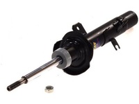 фото thumb №1, Амортизатор задняя fiat stilo 01-, fiat bravo ii 06-