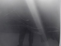 Капот крышка передняя шумоизоляция alfa romeo 156 рестайлинг  03-06 серебристая Киев, фото thumb