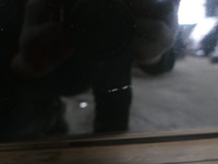 фото thumb №10, Nissan pathfinder r51 lift дверь левый перед gn0