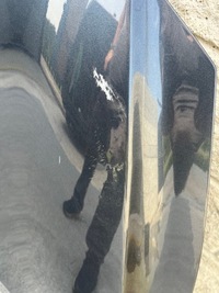 фото thumb №6, Nissan micra k14 капот