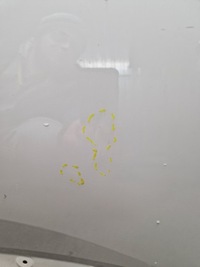 фото thumb №5, Двері перед праве peugeot 3008 ii 2016-