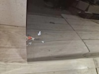 фото thumb №6, Maserati levante двері ліва перед передні org