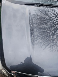 фото thumb №3, Капот крышка двигателя ford kuga mk1 h8 przedlift