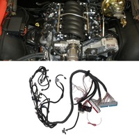 фото thumb №8, Джгут трубопровід двигуна ls1-4l60e profesjona