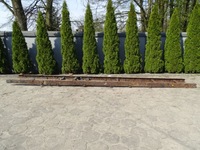 фото thumb №9, Iveco eurocargo 02-15 рама 75e 17,5 782x18 #103