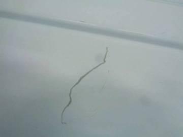 фото thumb №11, Citroen jumper ii рестайлінг 13 двері праві зсувні h2