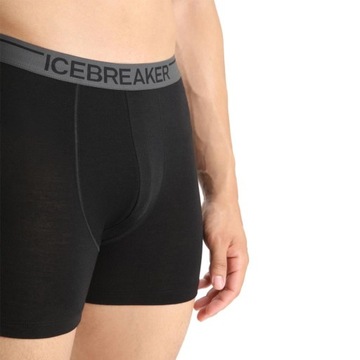 Icebreaker Anatomica Boxer IB1030290101 S боксеры