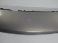 фото thumb №4, Защита перед renault scenic ii