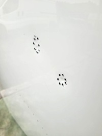 фото thumb №4, Капот mercedes eqc 2019-23