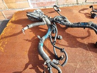 фото thumb №9, Ford ecosport 2 1.5 tdci жгут двигателя электропроводка