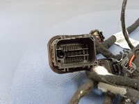 фото thumb №2, Alfa romeo stelvio qv джгут двері перед przwe