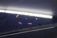 фото thumb №6, Двері лівий зад задні seat exeo sedan kol. lw5u 08-13