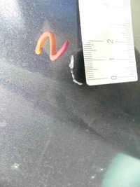 фото thumb №5, Капот передня renault laguna iii kombi nv676