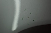 фото thumb №7, Volvo s40 ii v50 крило праві перед 426 b2437