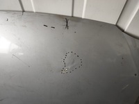 фото thumb №11, Капот toyota hiace 1995-2012 ------