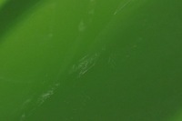 фото thumb №7, Ford fiesta mk8 двері правий праве задня задні