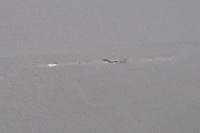 фото thumb №6, Volvo v50 шторка задня задня kombi 39984055