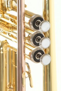 Рой Бенсон Труба Bb TR-101