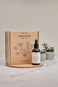 MOTHER'S PROTECT GOTU KOLA Adaptogen Wąkrotka Azjatycka Ekstrakt Krople