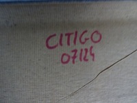 фото thumb №15, Skoda citigo 1.0 mpi стеля 1sl867501 12.2018 r версія 3d