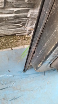 фото thumb №14, Двері перед передні праві renault scenic ii