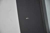 фото thumb №5, Двері передні перед праве kia sorento ii lift