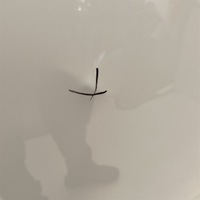 фото thumb №11, Капот volvo xc60 ii po 2017