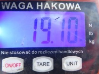 Подрамник перед opel agila b h08 1.3 cdti - с 13 dtj Цена, фото thumb