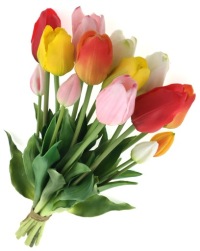 TULIPANY SILIKONOWE x15 W DOTYKU jak ŻYWE PREMIUM *