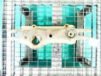 фото thumb №1, Балка міст перед ford ranger iv 06-11 3.0 tdci