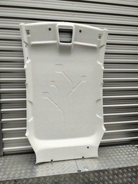 фото thumb №1, Renault zoe i потолок потолок