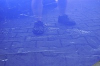 фото thumb №10, Ford focus iii mk3 дверь левый зад левая задние хэтчбек