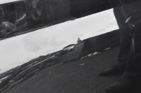 фото thumb №10, Bmw 1 f20 дверь правый задняя правое задние