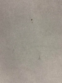 фото thumb №9, Потолок 6j4867501t seat ibiza iv 6j хэтчбек 5-дверь 08-17