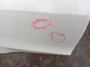 фото thumb №3, Дверь зад задние правые tesla модель iii 3 17-22rok