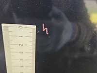 фото thumb №9, Капот передняя s90 v90 2016- чёрный 467- 46