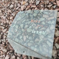 фото thumb №1, Стекло дверь правый задняя vw bora sedan