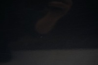 фото thumb №8, Volvo s60 ii двері лівий перед передні 498-46