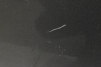 фото thumb №10, Двері ліва перед передні 1c3 toyota corolla verso 2 ii 04-09