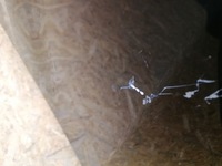 фото thumb №7, Капот крышка двигателя bmw x3 g01 x4 g02 2017-