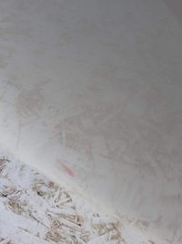 фото thumb №12, Дверь правое задняя задние mercedes e klasa w213 kombi