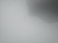 Капот крышка двигателя vw polo 6r v 5 hb lata 2009-2014 оригинал цвет la7w Доставка, фото thumb