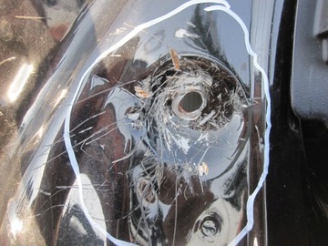 фото thumb №9, Bmw x5 i e53 рестайлінг 04r двері праві перед