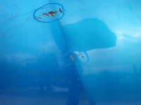 фото thumb №6, Honda jazz iii 3 07-14 капот крышка двигателя